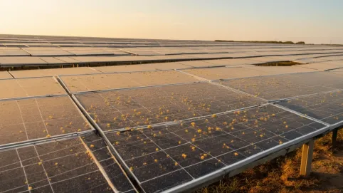 mycie farm fotowoltaicznych cena